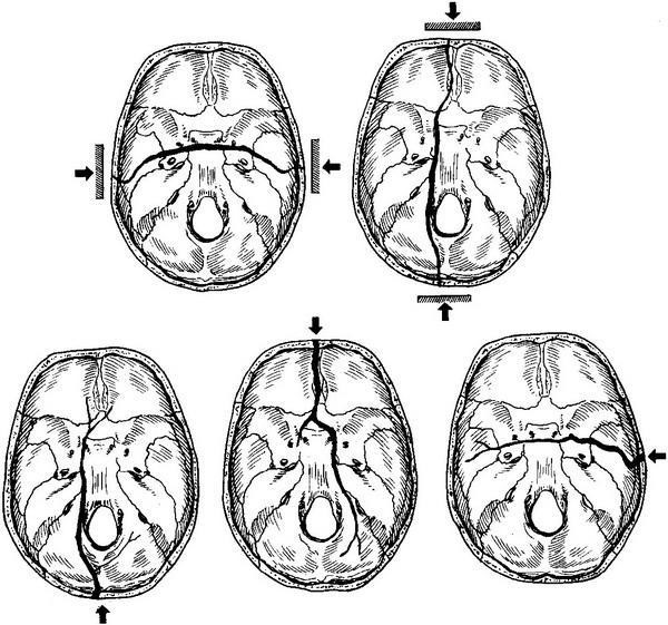 202401291650-1.jpg