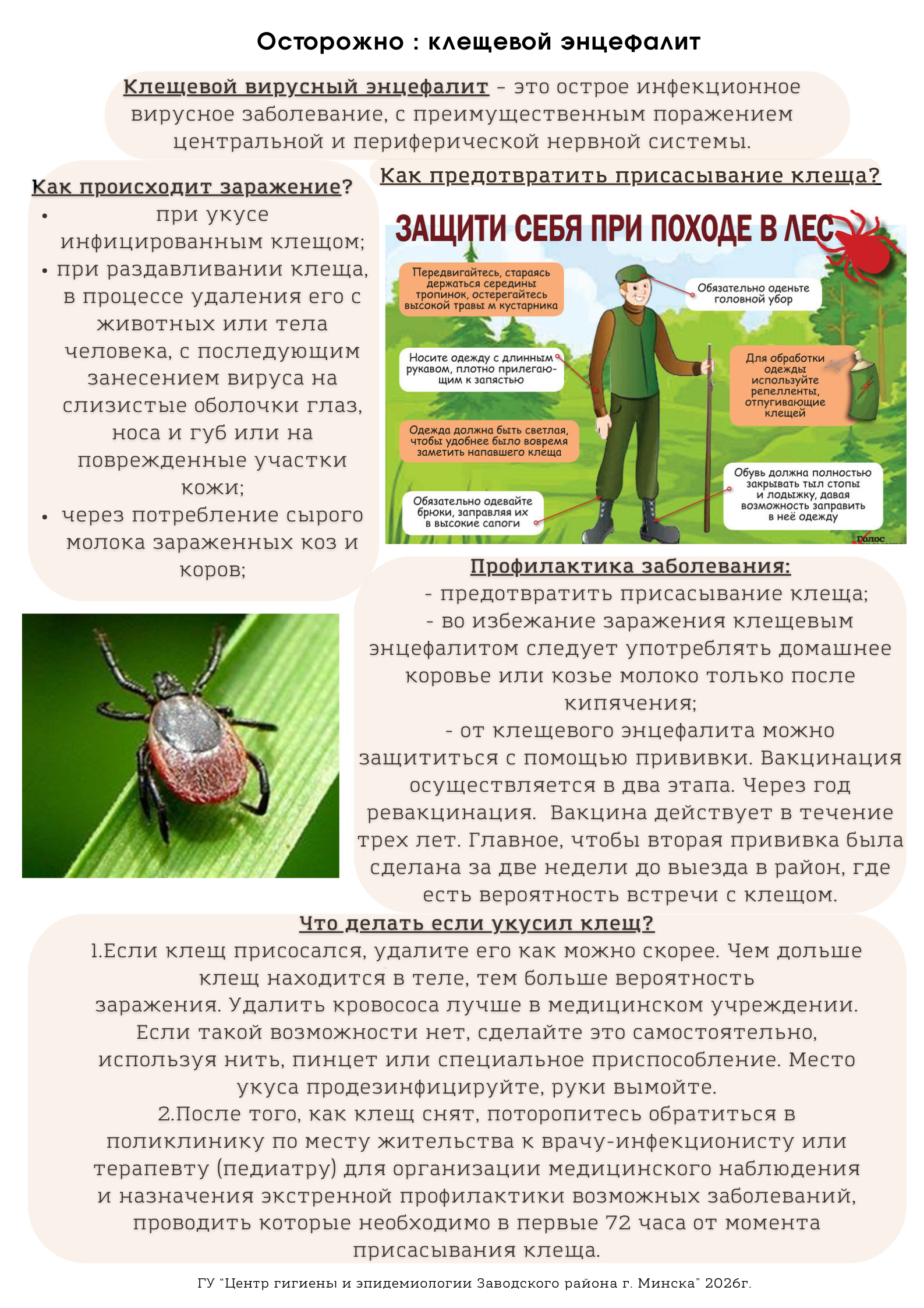 25.02.2026 Осторожно. Клещевой энцефалит