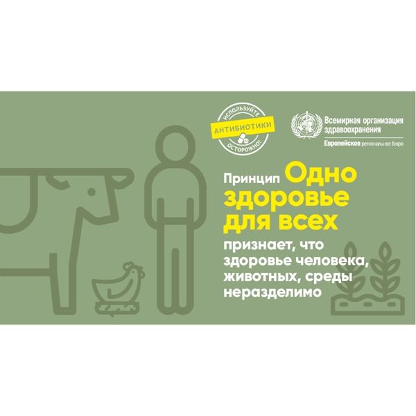 poster принцип единое здоровье