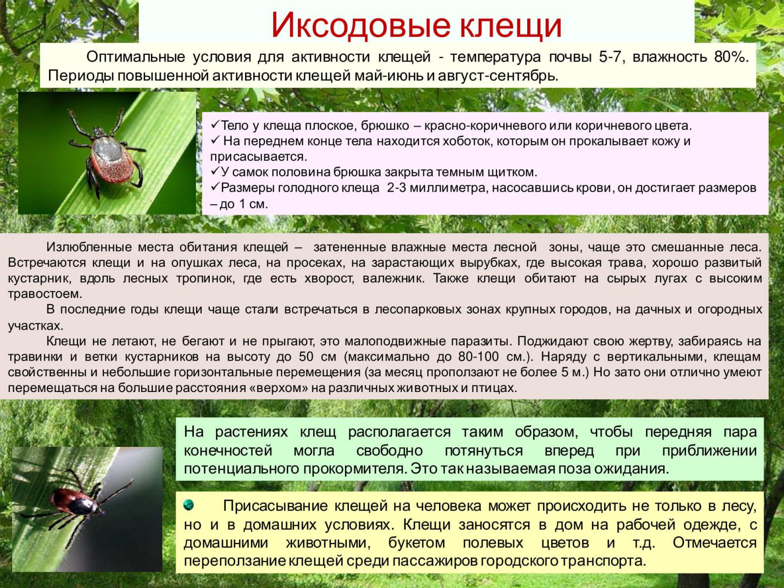 Малярия памятка для населения. Малярия санбюллетень. Профилактика клещевого малярии.