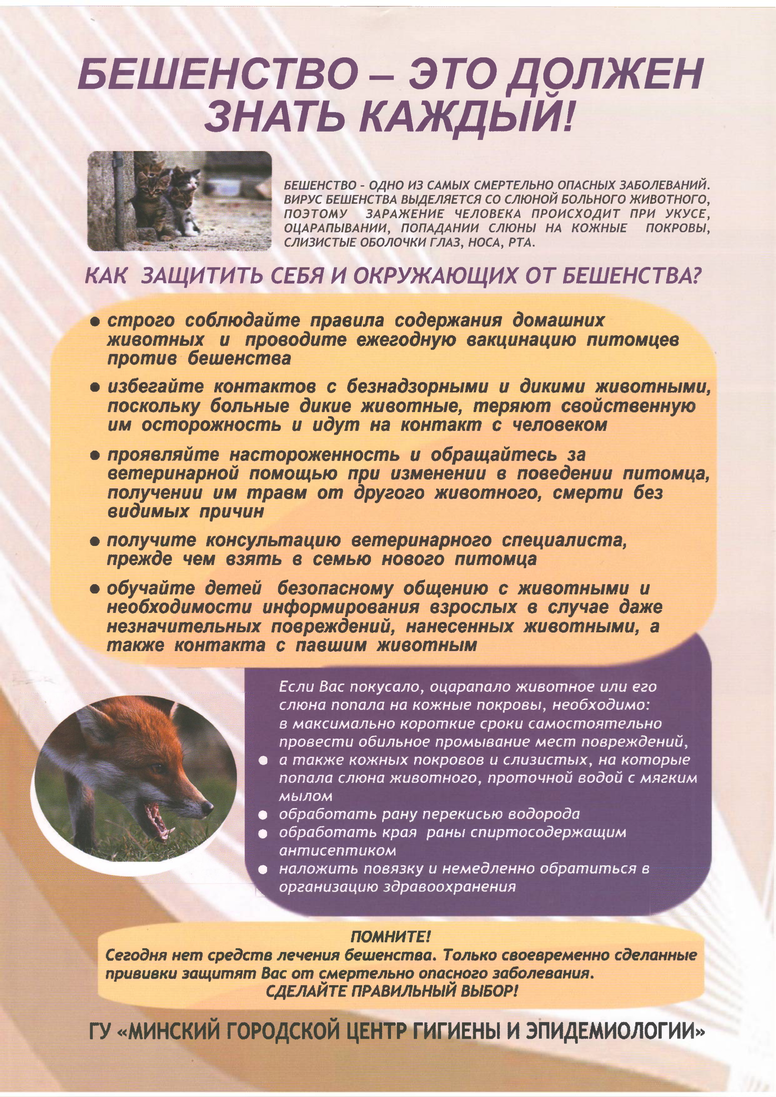 бешенство это должен знать каждый