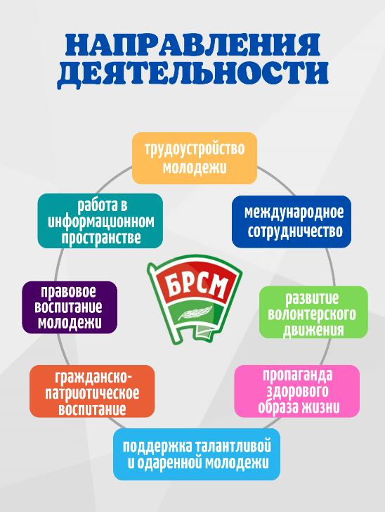 брсм картинка 02