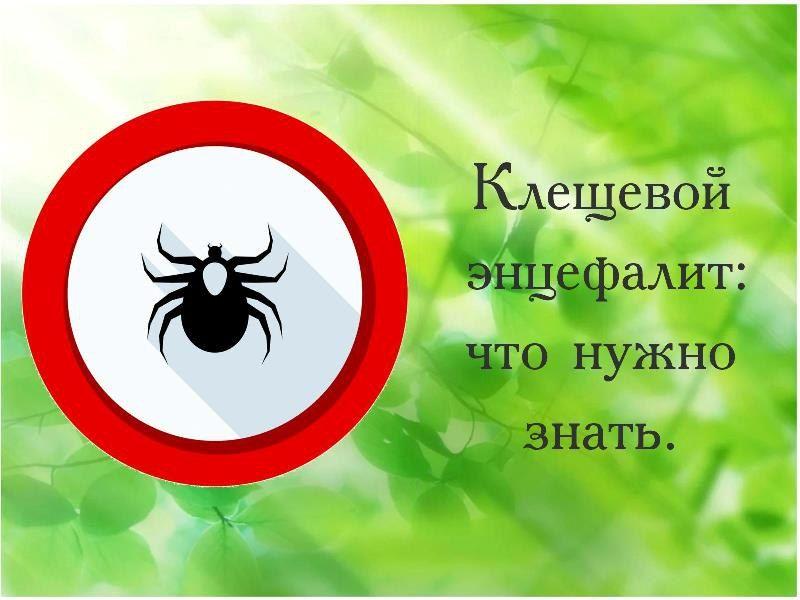 укус клеща 02