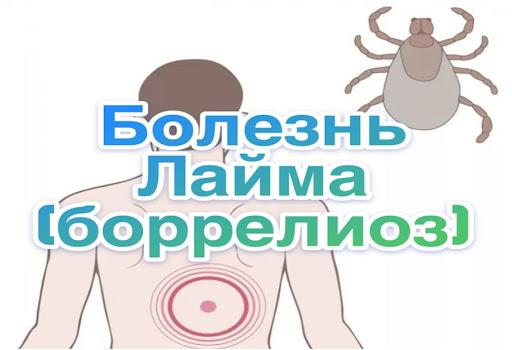укус клеща 03