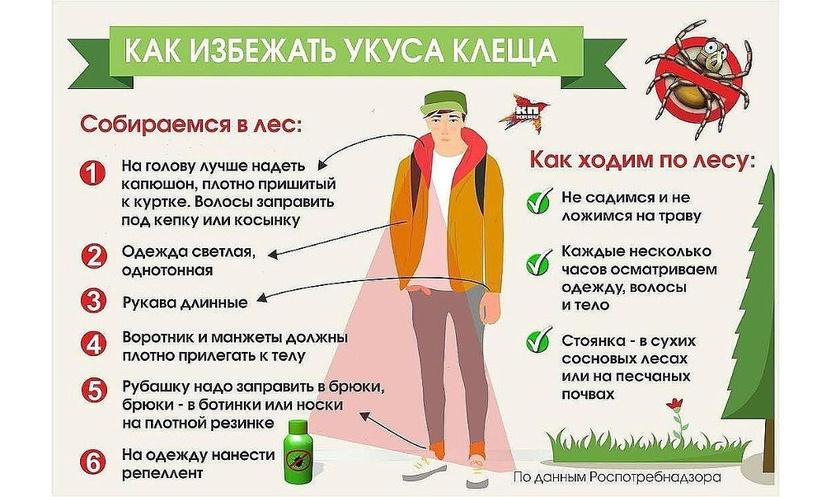 укус клеща 04